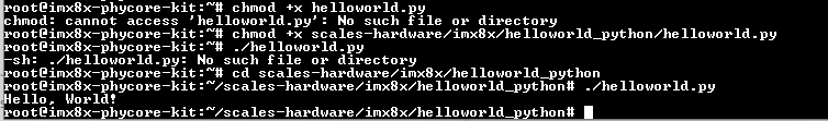 hello world python output